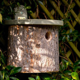 Natural Log Bird Nester (Green) - The Irish Gardener Store Natural Log Bird Nester, rustic wooden design with natural bark exterior, green-painted slanted roof, circular entrance hole for small birds, eco-friendly bird nesting box, mounted securely on a wooden surface, ideal for garden and outdoor use, wildlife-friendly habitat