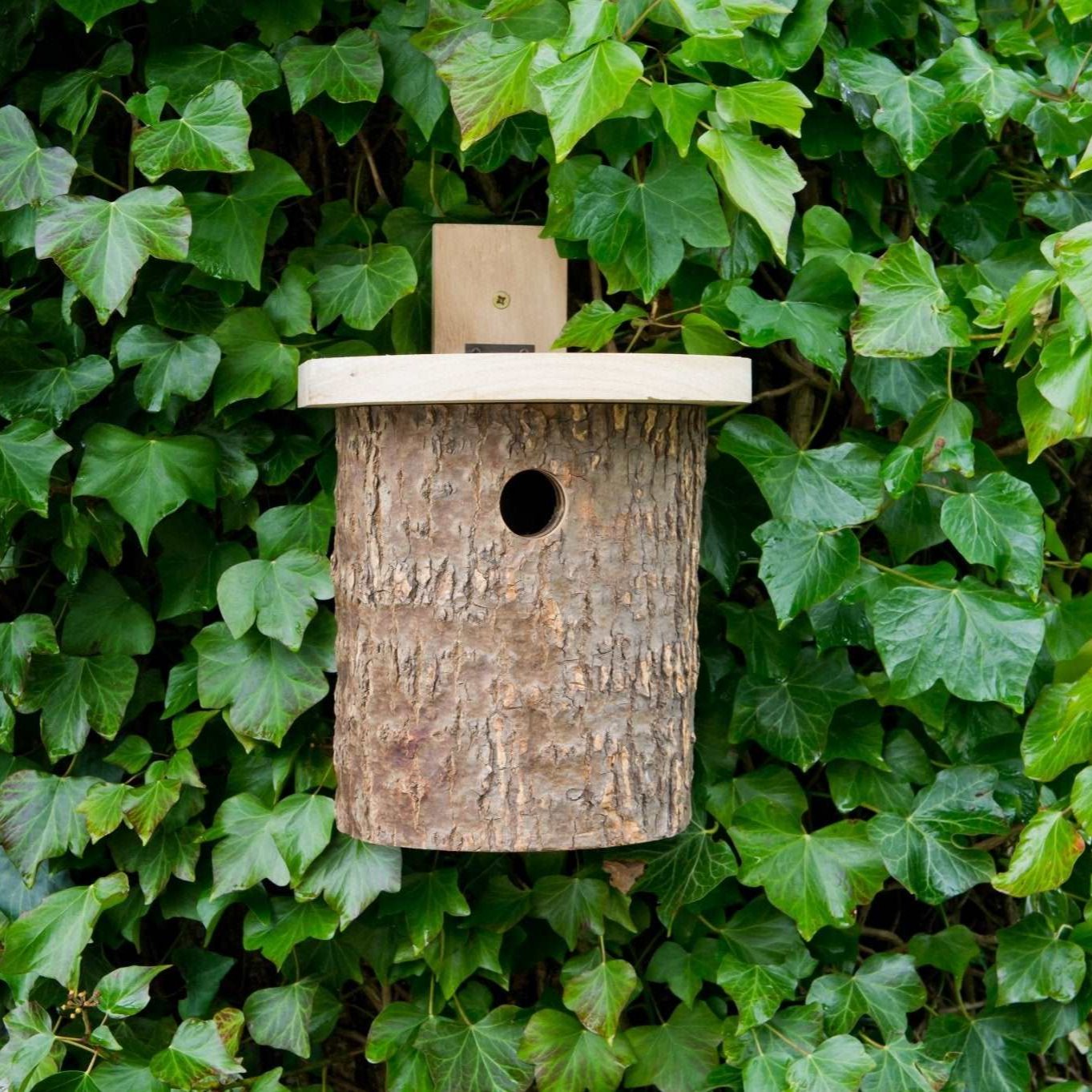 Natural Log Bird Nester (Green) - The Irish Gardener Store Natural Log Bird Nester, rustic wooden design with natural bark exterior, green-painted slanted roof, circular entrance hole for small birds, eco-friendly bird nesting box, ideal for garden and outdoor use, wildlife-friendly habitat