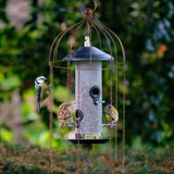 Simon King Medusa Bird Feeder Defender - The Irish Gardener Store