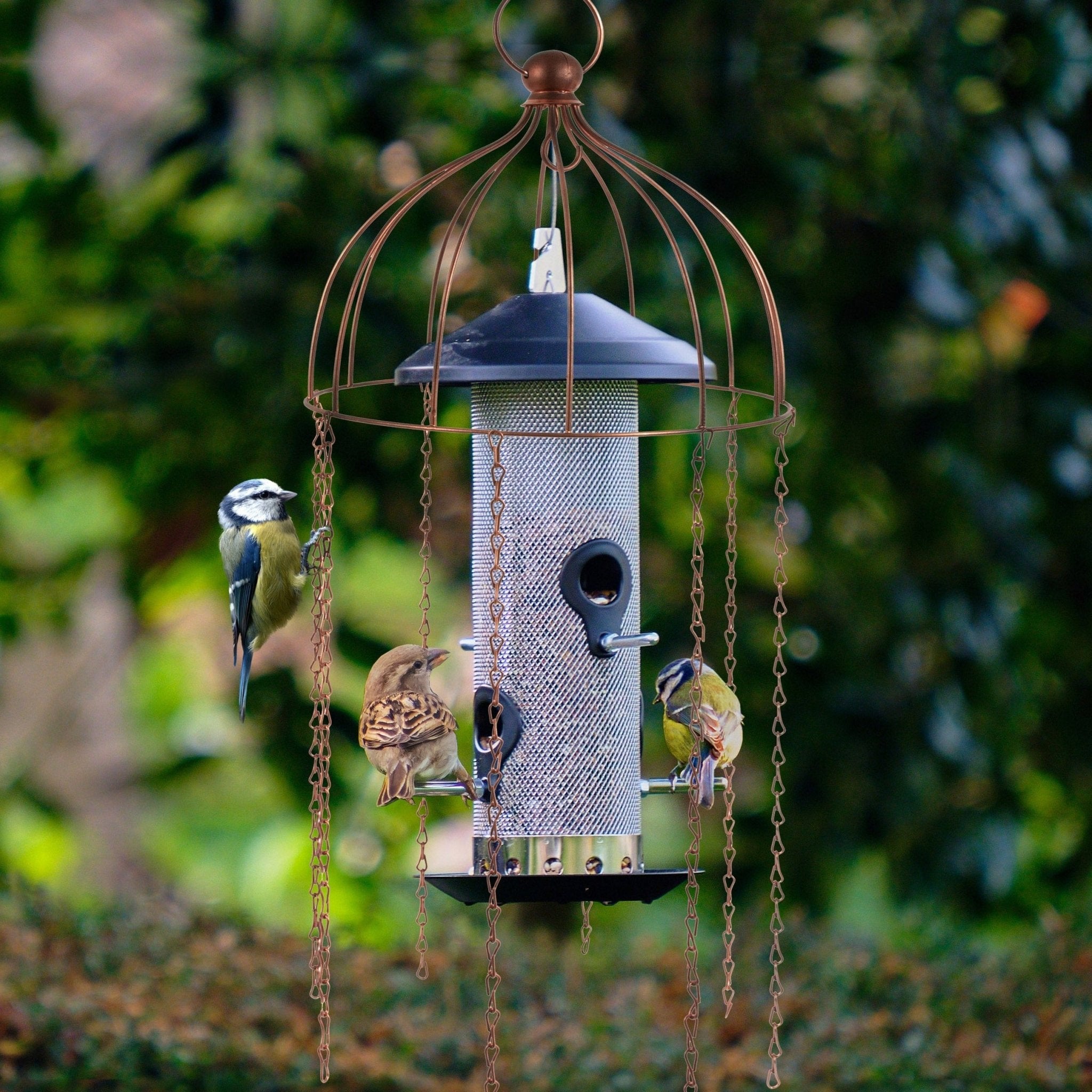 Simon King Medusa Bird Feeder Defender - The Irish Gardener Store