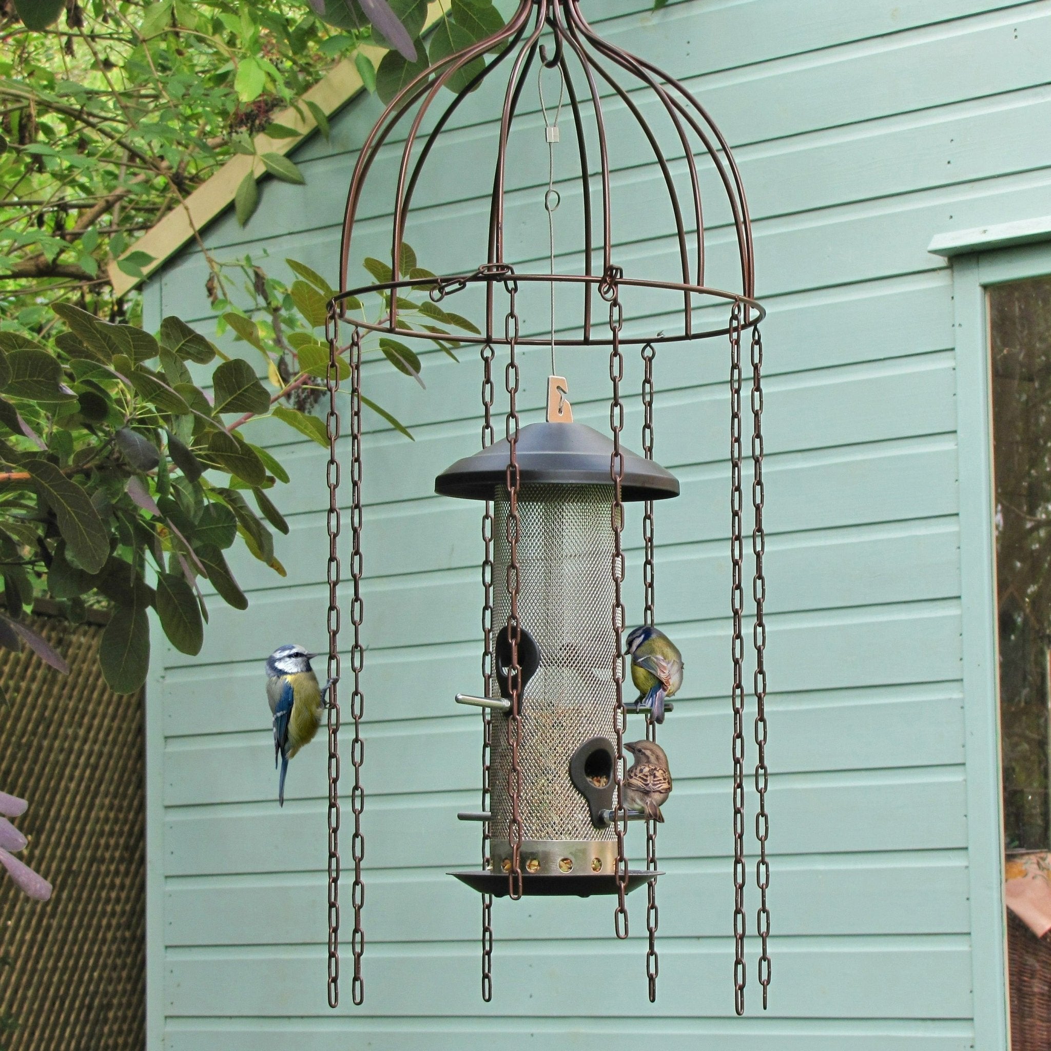 Simon King Medusa Bird Feeder Defender - The Irish Gardener Store