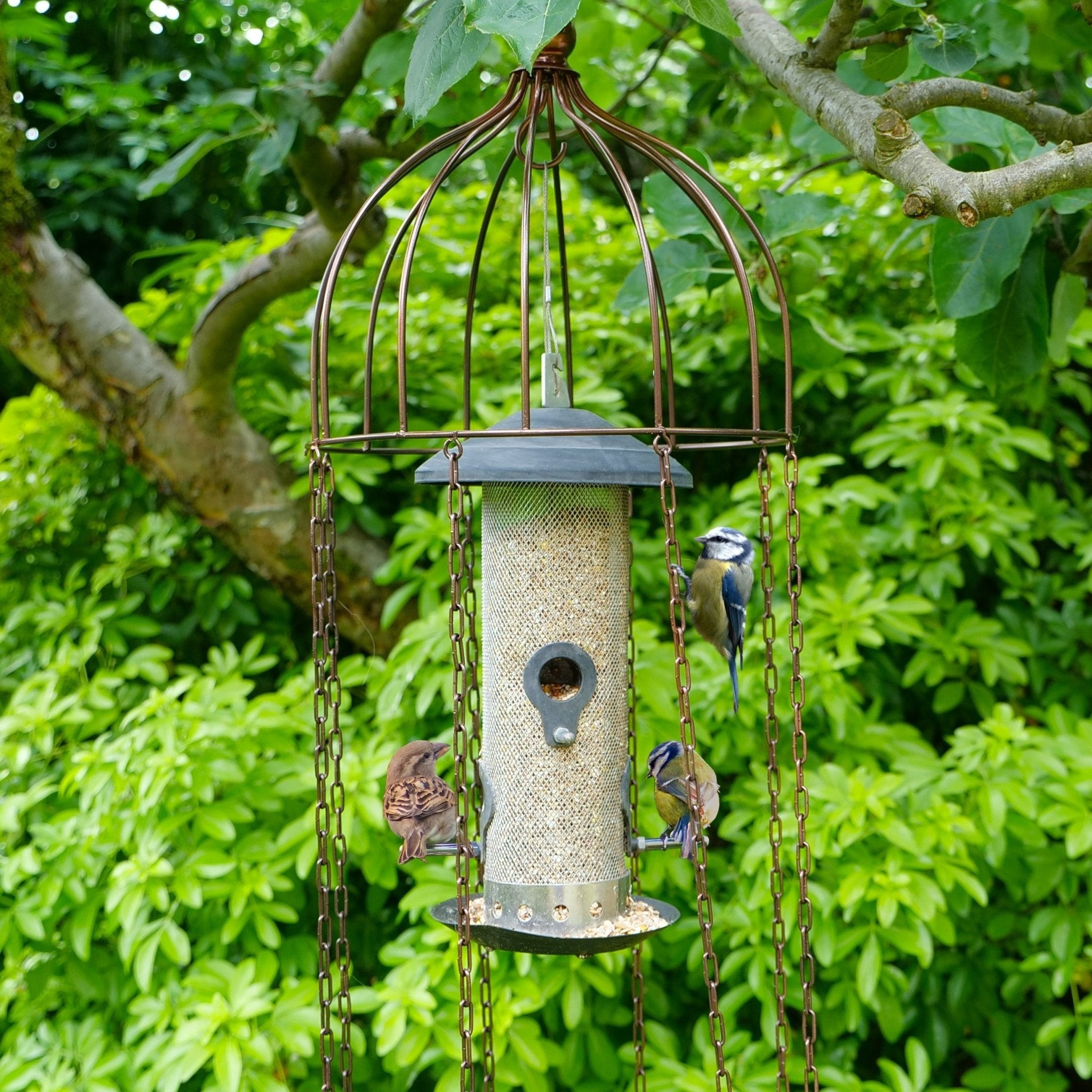 Simon King Medusa Bird Feeder Defender - The Irish Gardener Store