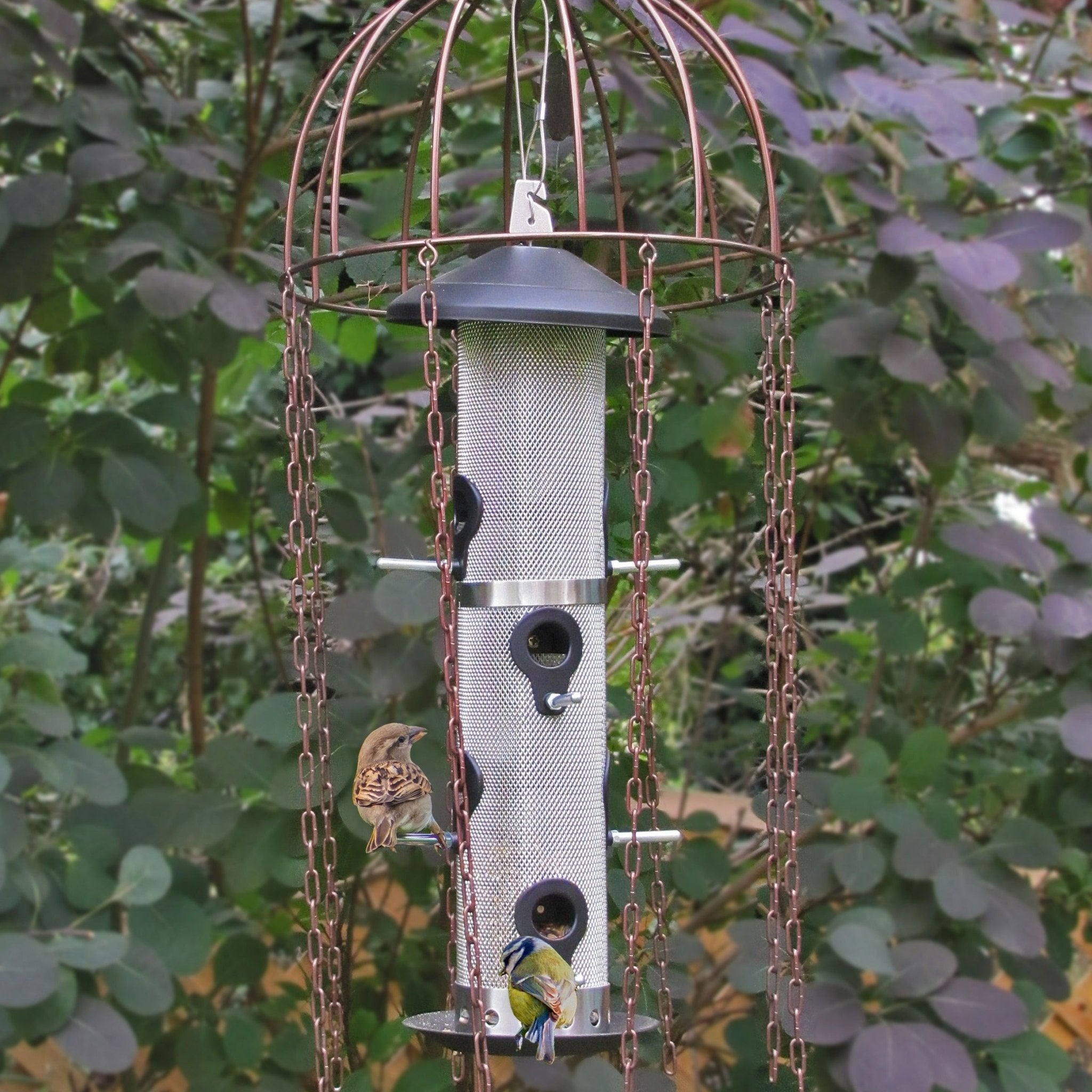 Simon King Medusa Bird Feeder Defender - The Irish Gardener Store