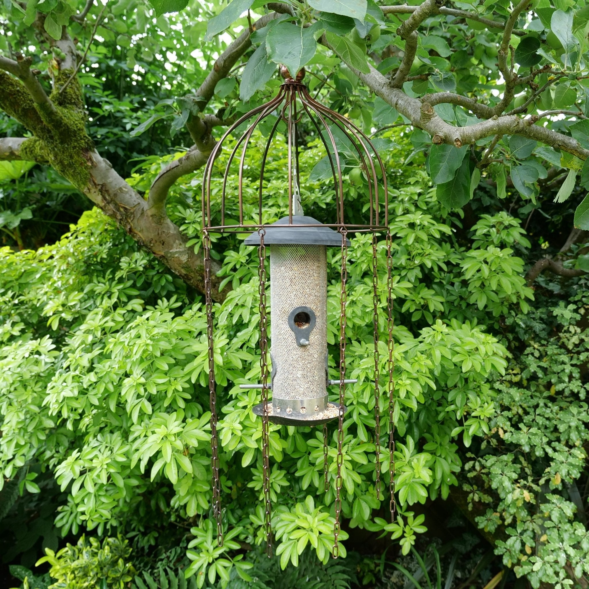 Simon King Medusa Bird Feeder Defender - The Irish Gardener Store