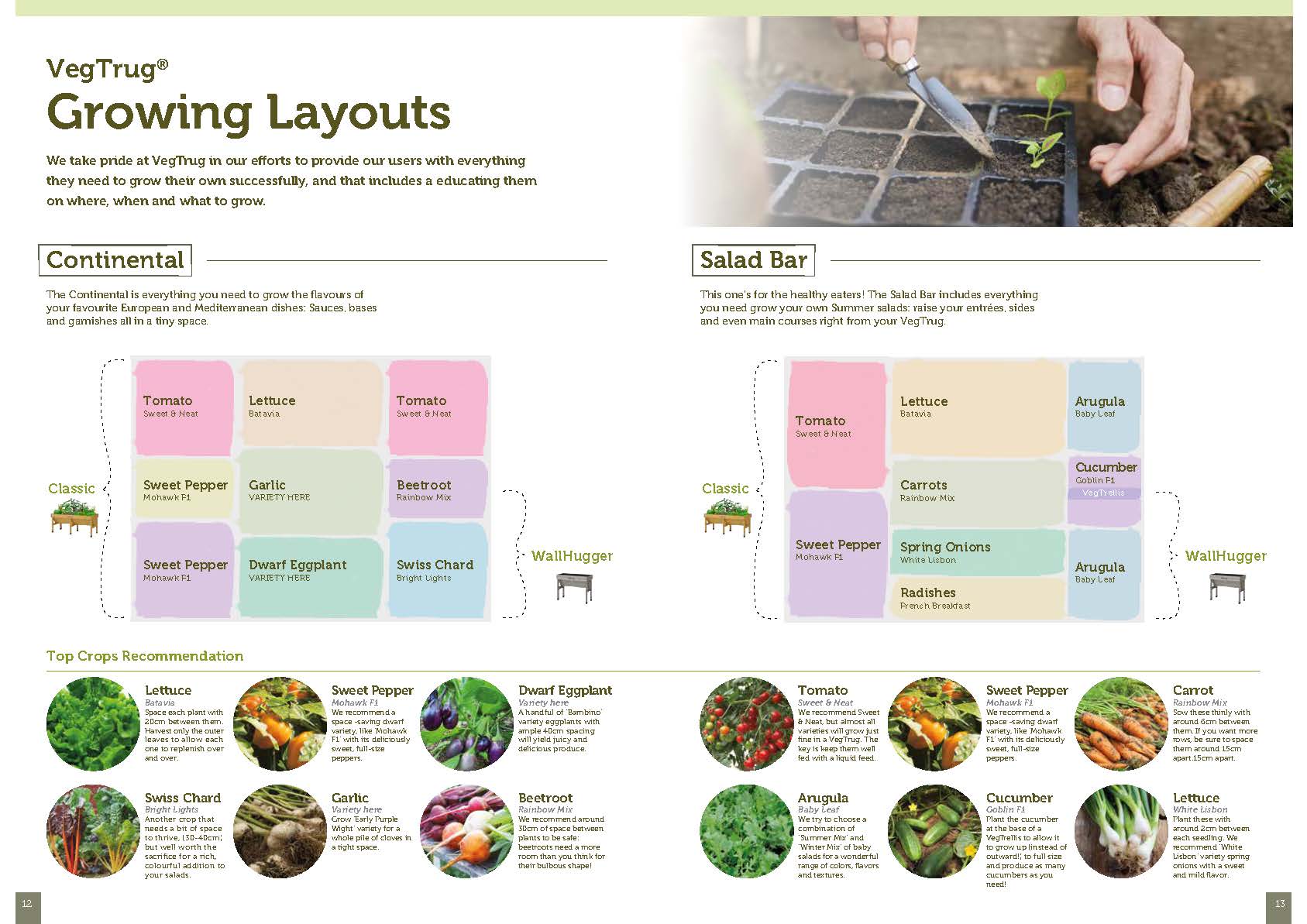 VegTrug Medium Wall Hugger - The Irish Gardener Store