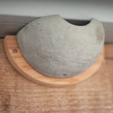 Ceramic House Martin Nesting Bowl, semi-circular ceramic design, mounted on a wooden backing, securely attached to an outdoor wall, eco-friendly nesting solution for house martins, ideal for bird conservation