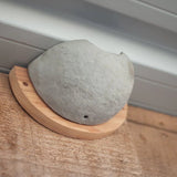 Ceramic House Martin Nesting Bowl, semi-circular ceramic design, mounted on a wooden backing, securely attached to an outdoor wall, eco-friendly nesting solution for house martins, ideal for bird conservation