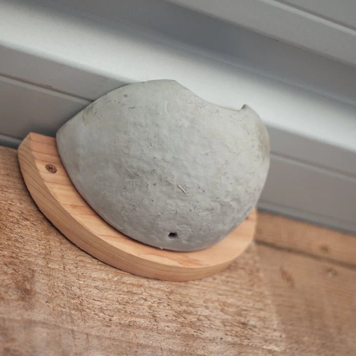 Ceramic House Martin Nesting Bowl, semi-circular ceramic design, mounted on a wooden backing, securely attached to an outdoor wall, eco-friendly nesting solution for house martins, ideal for bird conservation
