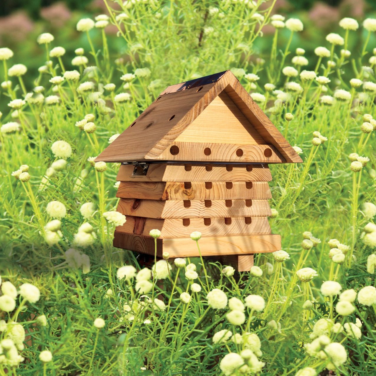 Interactive Solitary Bee Hive - The Irish Gardener Store Interactive Solitary Bee Hive, wooden structure with a pitched roof, featuring multiple rows of drilled holes for nesting, stackable layers with inspection access, natural wood finish, eco-friendly design, suitable for mason bees and other solitary bee species, ideal for gardens or educational settings