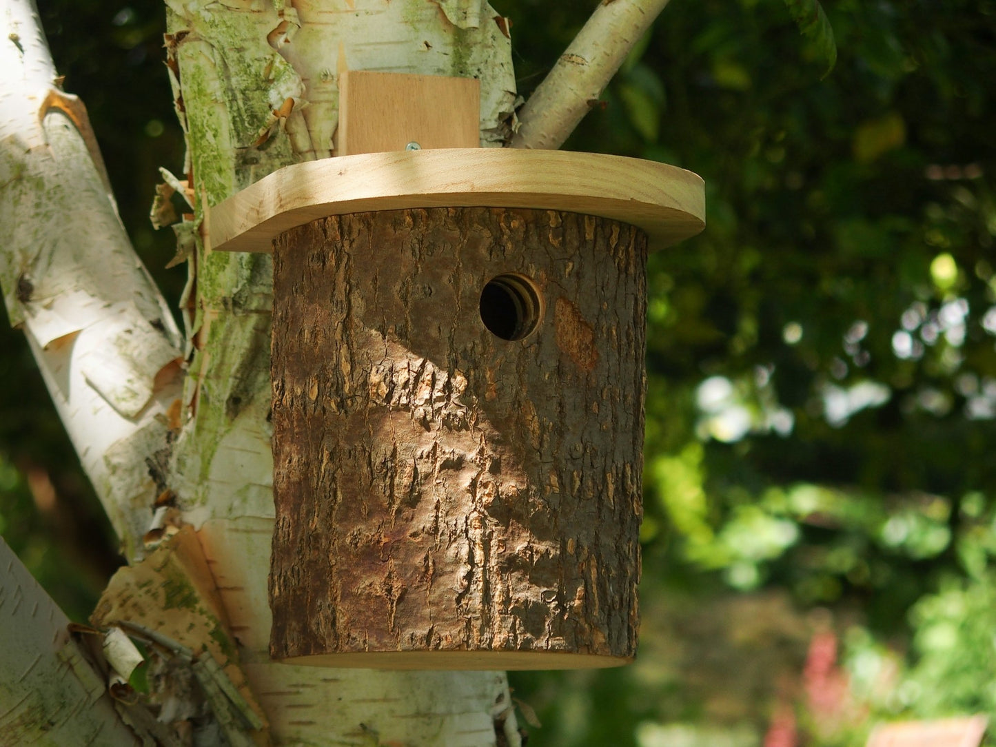 Natural Log Bird Nester (Green) - The Irish Gardener Store