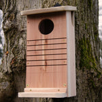 Red Squirrel Nest Box - The Irish Gardener Store Red Squirrel Nest Box, wooden construction with natural finish, mounted on a tree trunk, circular entrance hole, horizontal grooves for climbing, weather-resistant design, spacious interior, eco-friendly wildlife shelter, ideal for red squirrels, located in a natural outdoor setting, sustainable conservation habitat