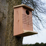 Red Squirrel Nest Box - The Irish Gardener Store Red Squirrel Nest Box, wooden construction with natural finish, mounted on a tree trunk, circular entrance hole, horizontal grooves for climbing, weather-resistant design, spacious interior, eco-friendly wildlife shelter, ideal for red squirrels, located in a natural outdoor setting, sustainable conservation habitat