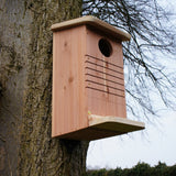 Red Squirrel Nest Box - The Irish Gardener Store Red Squirrel Nest Box, wooden construction with natural finish, mounted on a tree trunk, circular entrance hole, horizontal grooves for climbing, weather-resistant design, spacious interior, eco-friendly wildlife shelter, ideal for red squirrels, located in a natural outdoor setting, sustainable conservation habitat