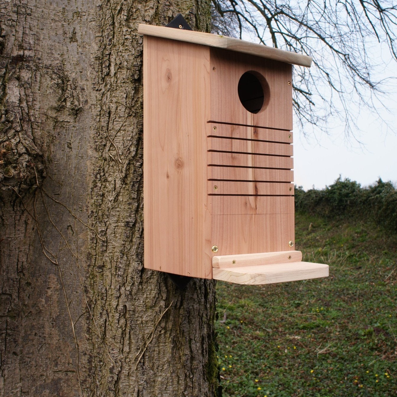 Red Squirrel Nest Box - The Irish Gardener Store Red Squirrel Nest Box - The Irish Gardener Store Red Squirrel Nest Box, wooden construction with natural finish,circular entrance hole, horizontal grooves for climbing, weather-resistant design, spacious interior, eco-friendly wildlife shelter, ideal for red squirrels, located in a natural outdoor setting, sustainable conservation habitat