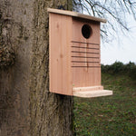 Red Squirrel Nest Box - The Irish Gardener Store Red Squirrel Nest Box - The Irish Gardener Store Red Squirrel Nest Box, wooden construction with natural finish,circular entrance hole, horizontal grooves for climbing, weather-resistant design, spacious interior, eco-friendly wildlife shelter, ideal for red squirrels, located in a natural outdoor setting, sustainable conservation habitat
