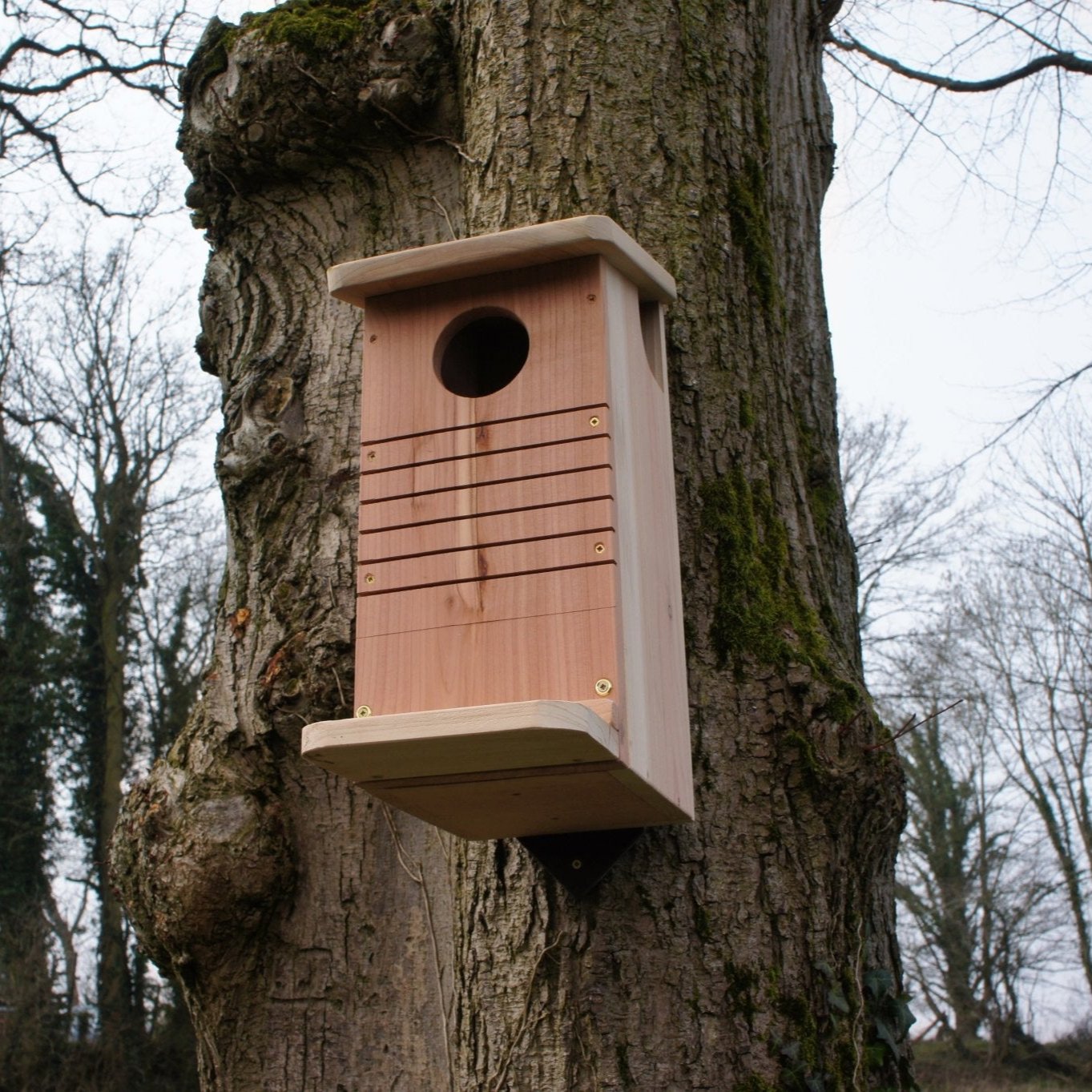 Red Squirrel Nest Box - The Irish Gardener Store Red Squirrel Nest Box - The Irish Gardener Store Red Squirrel Nest Box, wooden construction with natural finish,circular entrance hole, horizontal grooves for climbing, weather-resistant design, spacious interior, eco-friendly wildlife shelter, ideal for red squirrels, located in a natural outdoor setting, sustainable conservation habitat