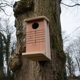 Red Squirrel Nest Box - The Irish Gardener Store Red Squirrel Nest Box - The Irish Gardener Store Red Squirrel Nest Box, wooden construction with natural finish,circular entrance hole, horizontal grooves for climbing, weather-resistant design, spacious interior, eco-friendly wildlife shelter, ideal for red squirrels, located in a natural outdoor setting, sustainable conservation habitat