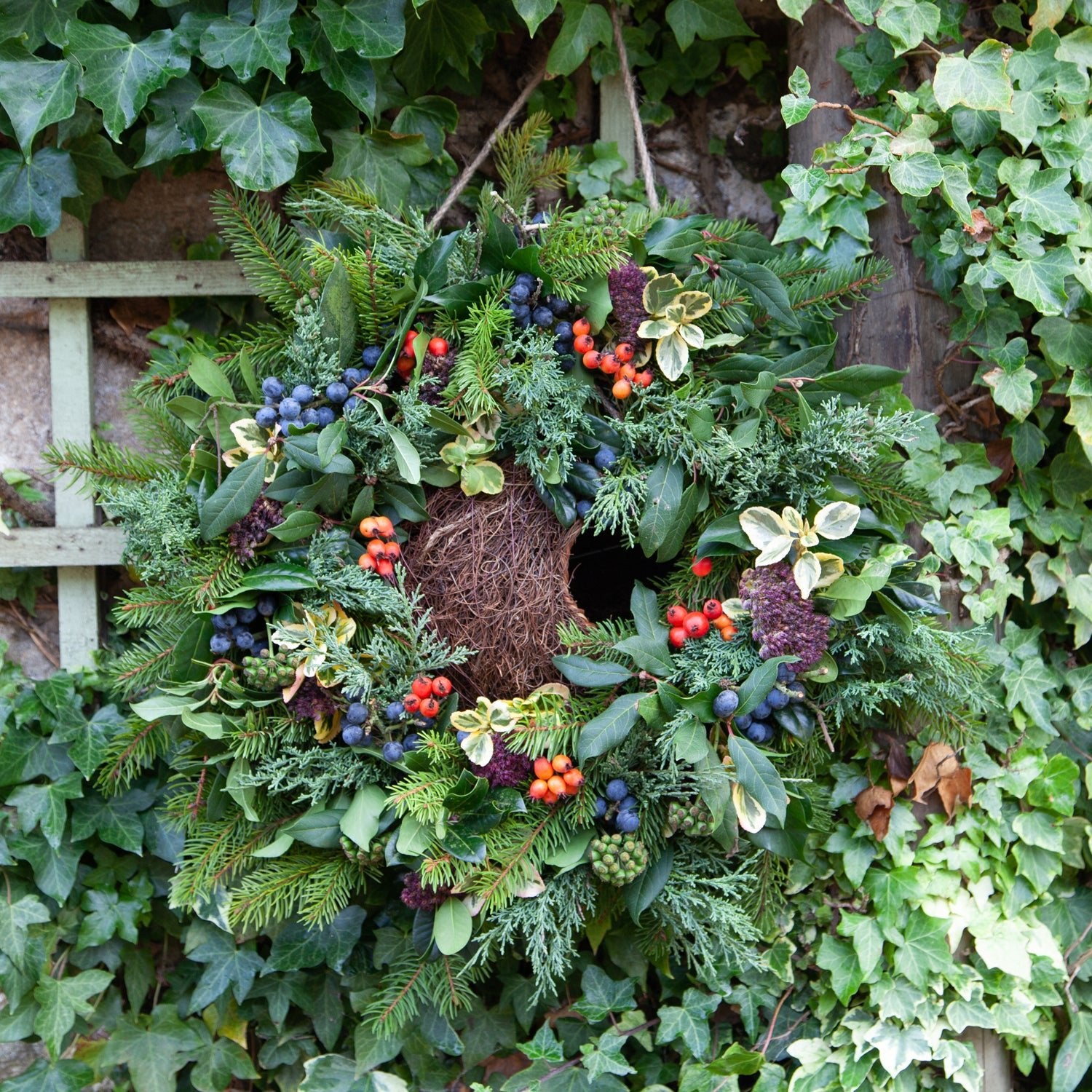 Simon King Wreath Nester - The Irish Gardener Store Simon King Wreath Nester hanging on a stone wall, adorned with natural foliage and berries, eco-friendly bird nester, decorative wildlife habitat, rustic garden feature, sustainable nesting solution for small birds, handcrafted wreath design, outdoor bird-friendly accessory, vibrant greenery and colorful berries