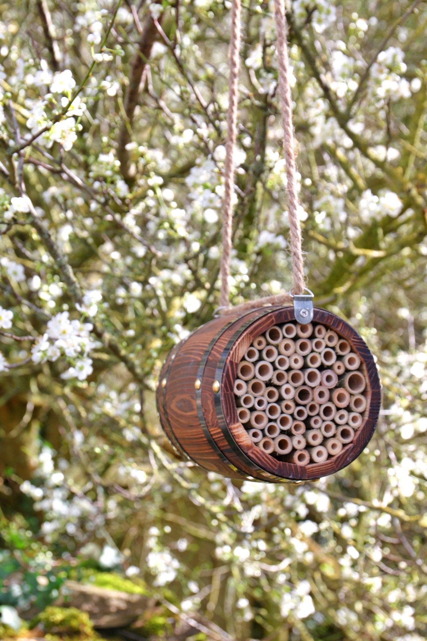 The Bee Barrel - The Irish Gardener Store rustic wooden bee barrel, hanging pollinator habitat, bamboo nesting tubes, eco-friendly design, bee nesting barrel, garden decoration for pollinators, sustainable bee shelter, wildlife garden accessory, wooden barrel bee home, rope hanging bee habitat
