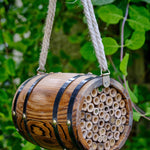 The Bee Barrel - The Irish Gardener Store rustic wooden bee barrel, hanging pollinator habitat, bamboo nesting tubes, eco-friendly design, bee nesting barrel, garden decoration for pollinators, sustainable bee shelter, wildlife garden accessory, wooden barrel bee home, rope hanging bee habitat