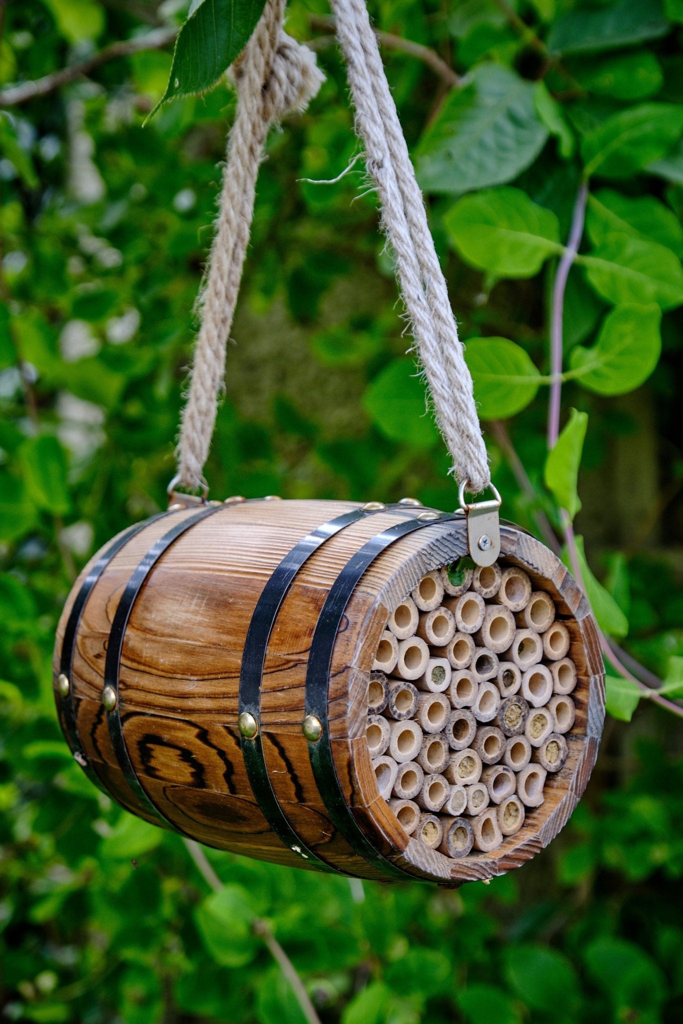 The Bee Barrel - The Irish Gardener Store rustic wooden bee barrel, hanging pollinator habitat, bamboo nesting tubes, eco-friendly design, bee nesting barrel, garden decoration for pollinators, sustainable bee shelter, wildlife garden accessory, wooden barrel bee home, rope hanging bee habitat