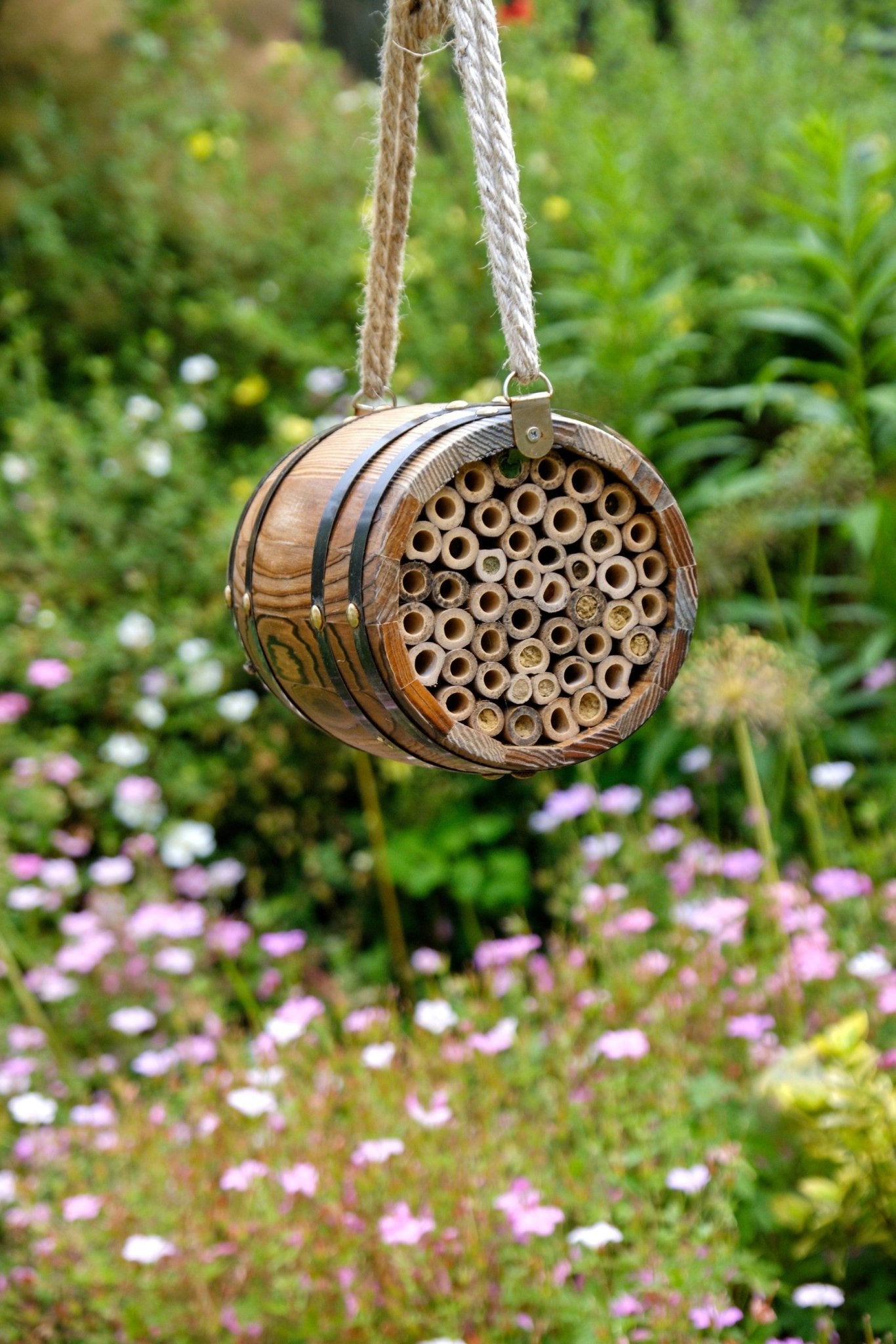 The Bee Barrel - The Irish Gardener Store rustic wooden bee barrel, hanging pollinator habitat, bamboo nesting tubes, eco-friendly design, bee nesting barrel, garden decoration for pollinators, sustainable bee shelter, wildlife garden accessory, wooden barrel bee home, rope hanging bee habitat