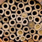The Bee Barrel - The Irish Gardener Store rustic wooden bee barrel, hanging pollinator habitat, bamboo nesting tubes, eco-friendly design, bee nesting barrel, garden decoration for pollinators, sustainable bee shelter, wildlife garden accessory, wooden barrel bee home, rope hanging bee habitat