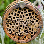 The Bee Barrel - The Irish Gardener Store rustic wooden bee barrel, hanging pollinator habitat, bamboo nesting tubes, eco-friendly design, bee nesting barrel, garden decoration for pollinators, sustainable bee shelter, wildlife garden accessory, wooden barrel bee home, rope hanging bee habitat