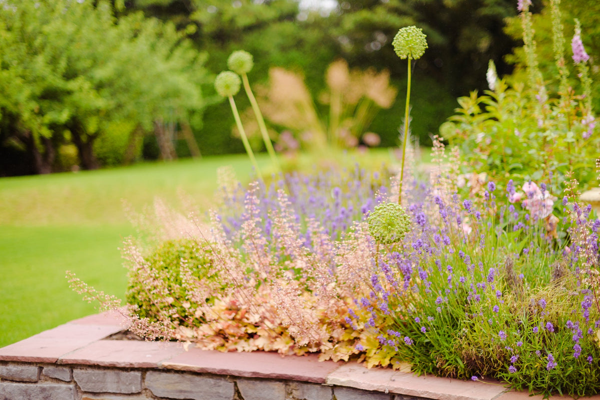 Low maintenance planting in an Irish garden, with repeated grasses and evergreen structure reducing seasonal work