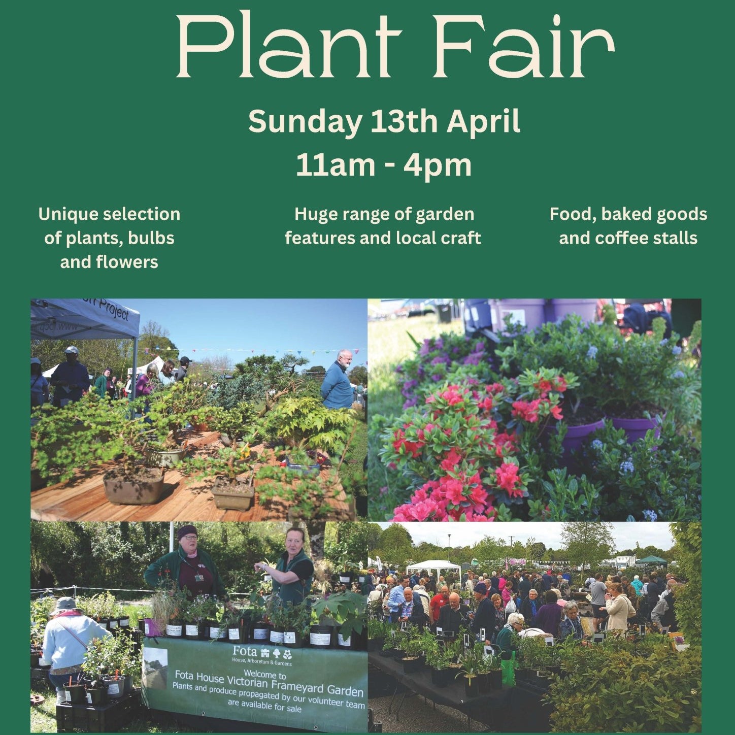 Fota House Plant Fair 2025 - A Must-Visit Garden Event in Cork for Plant Lovers - The Irish Gardener Store