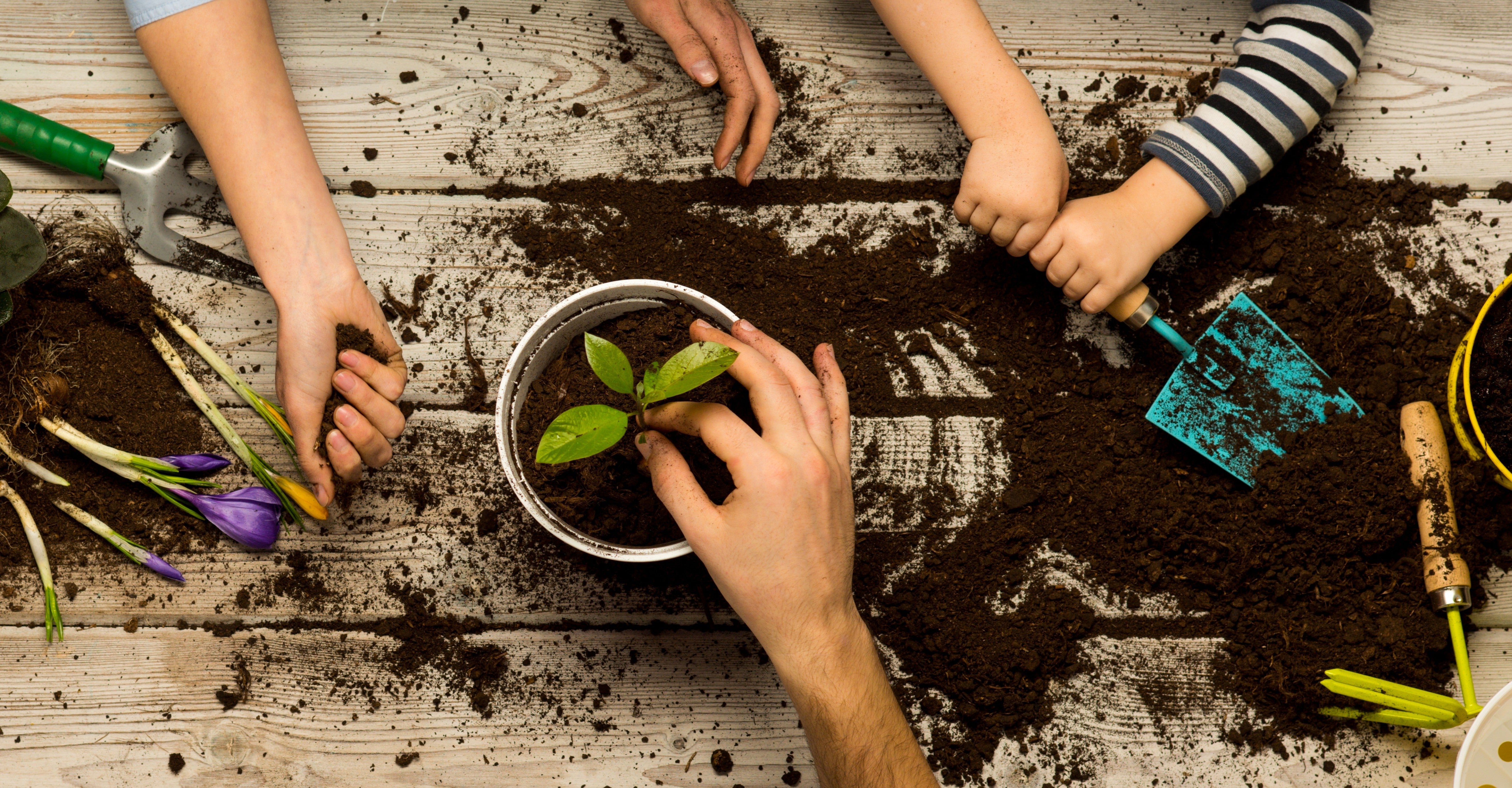 Children and an adult planting together with soil, pots, and hand tools, learning about plants through hands-on gardening.