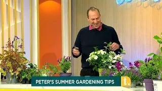 How to Take Hydrangea Cuttings: Simple Step-by-Step Guide with Peter Dowdall - The Irish Gardener Store