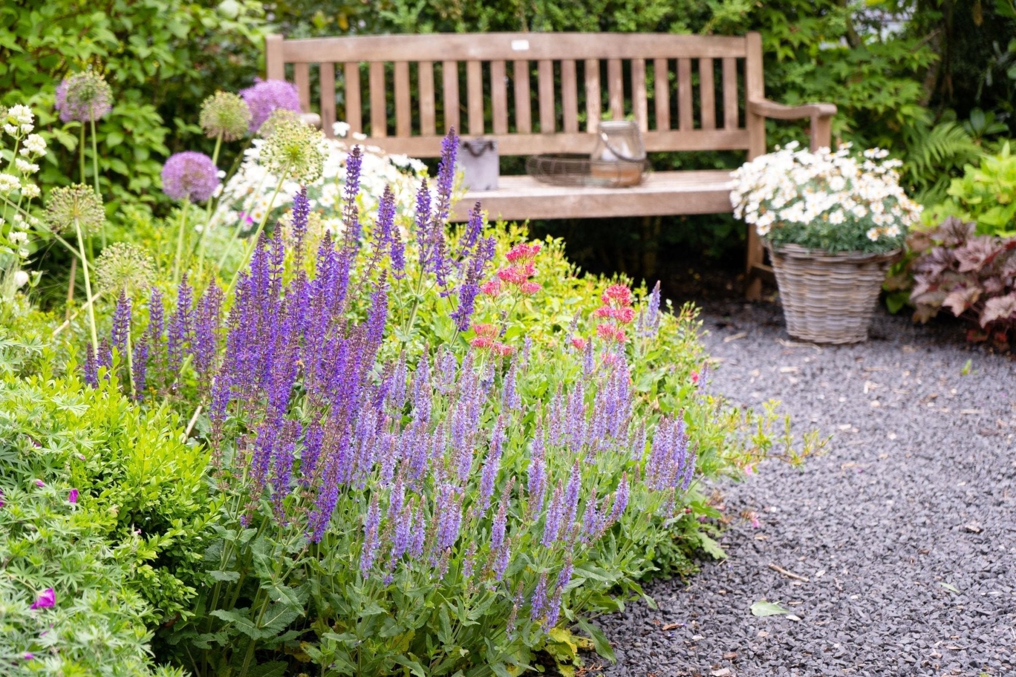 The Garden as Sanctuary: Taking Time Out in a Busy World - The Irish Gardener