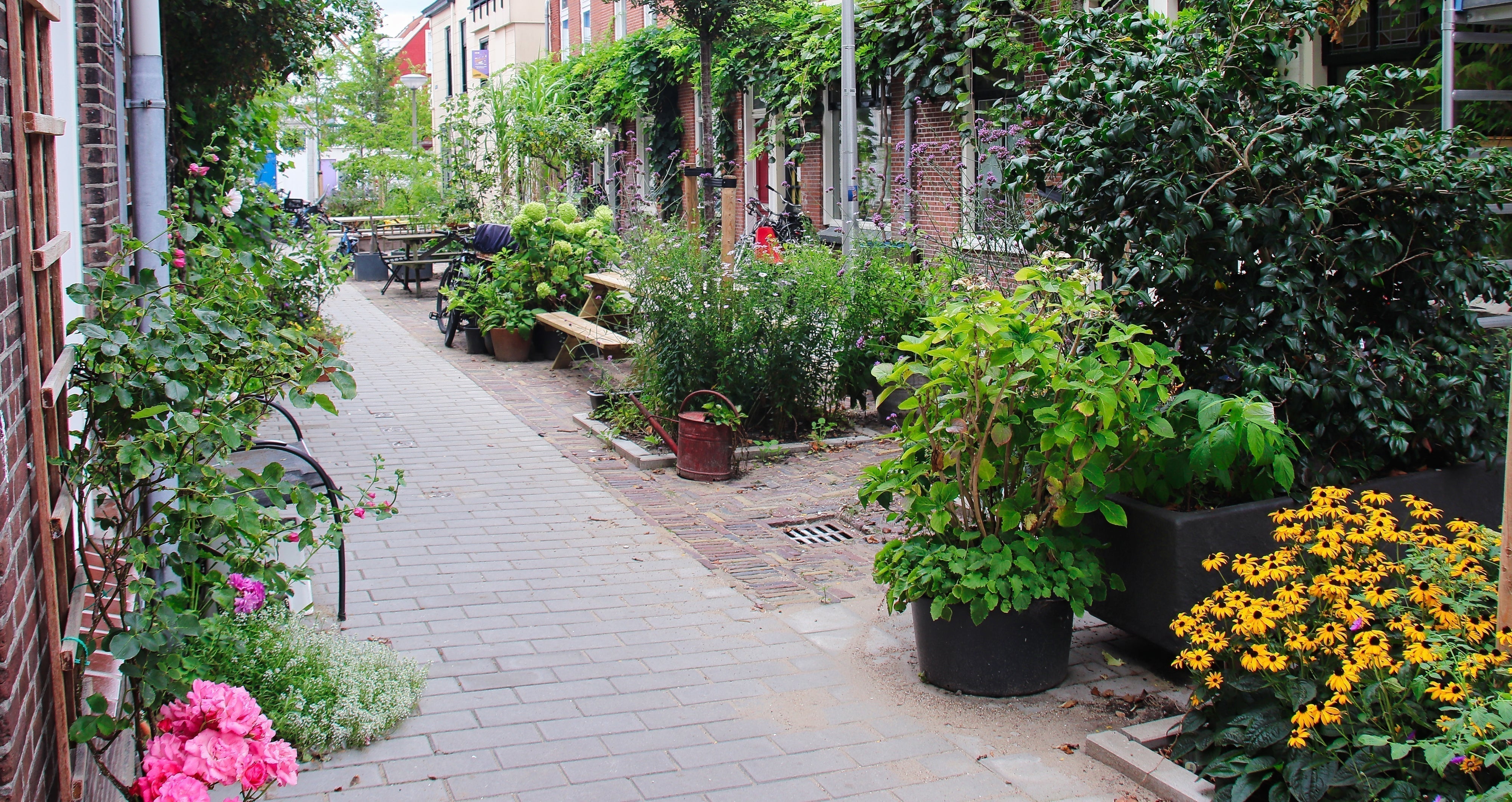 Tuinstraat in Delft in 2022 transformed into a green living street with planting and seating