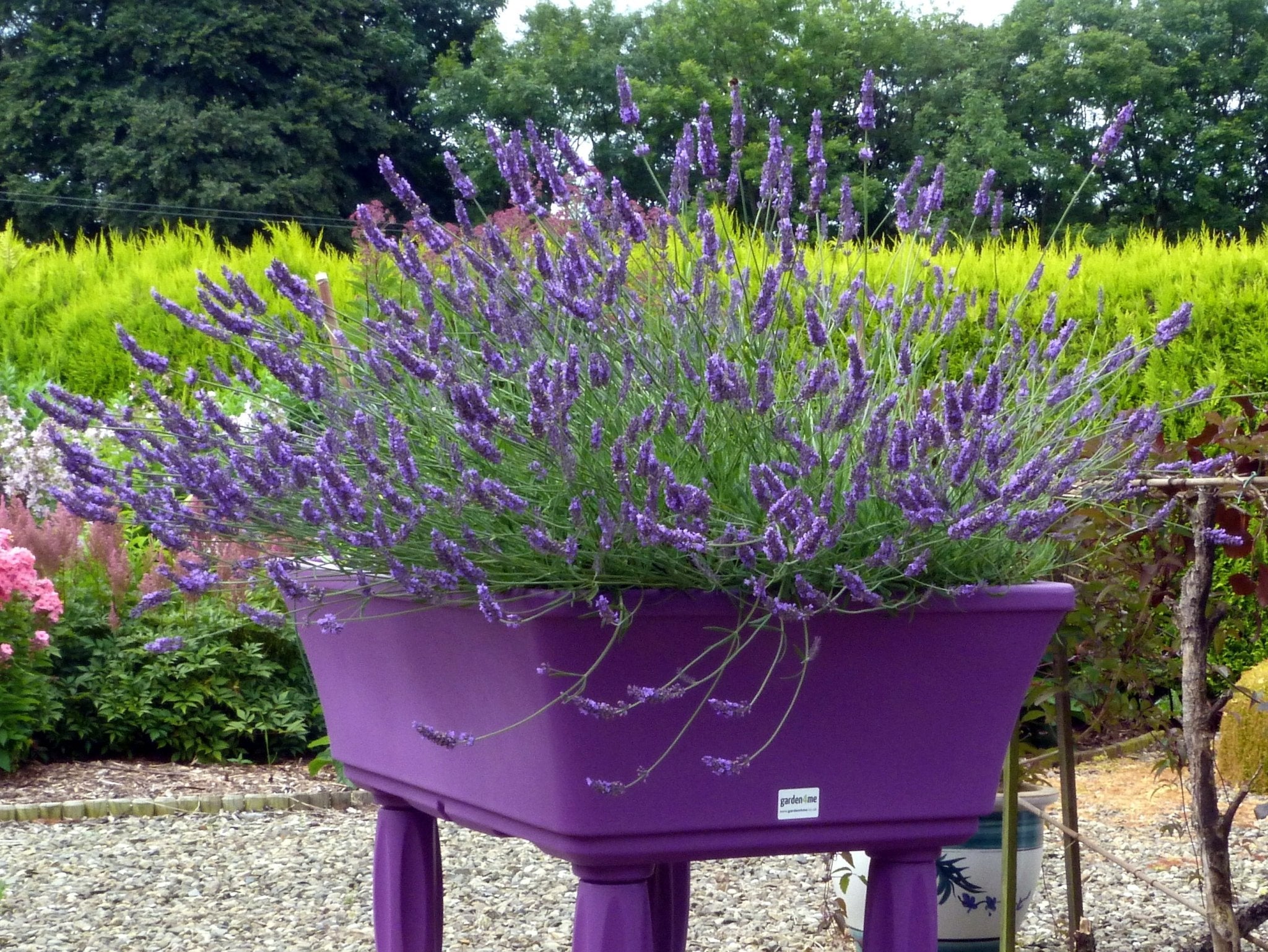 Garden4Me Raised Bed - The Irish Gardener Store