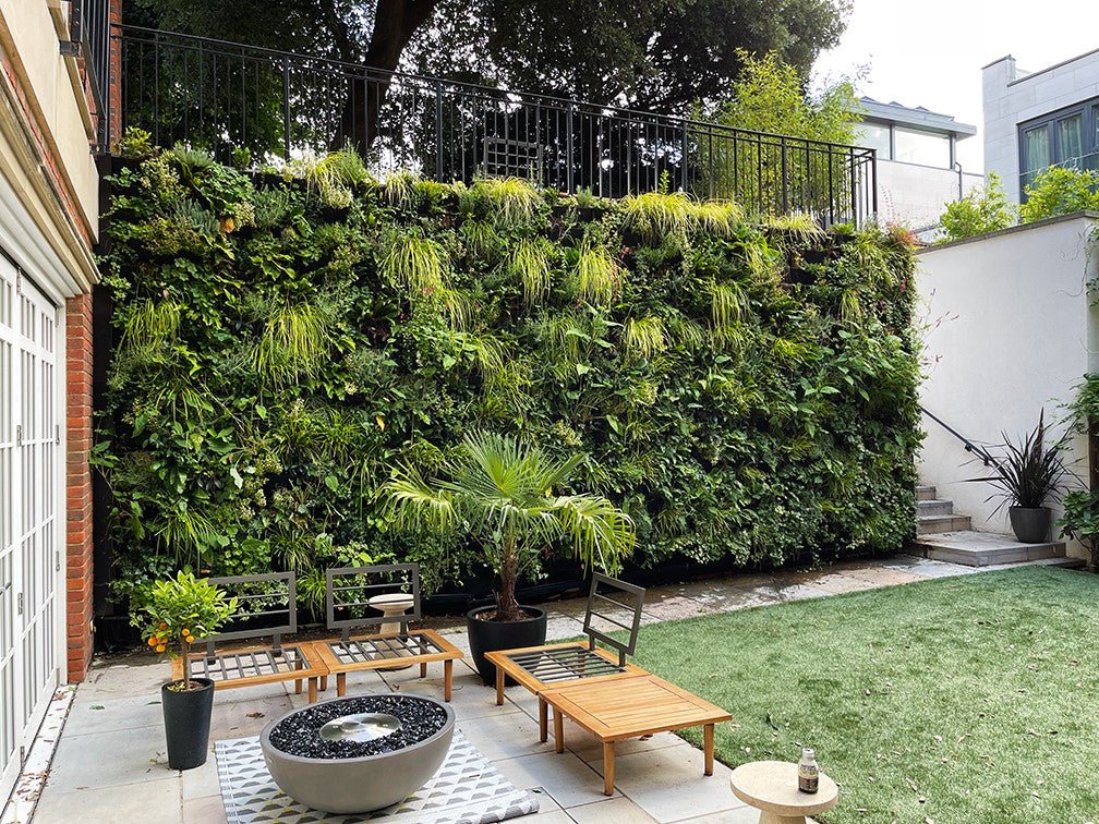 Living Walls - The Irish Gardener Store