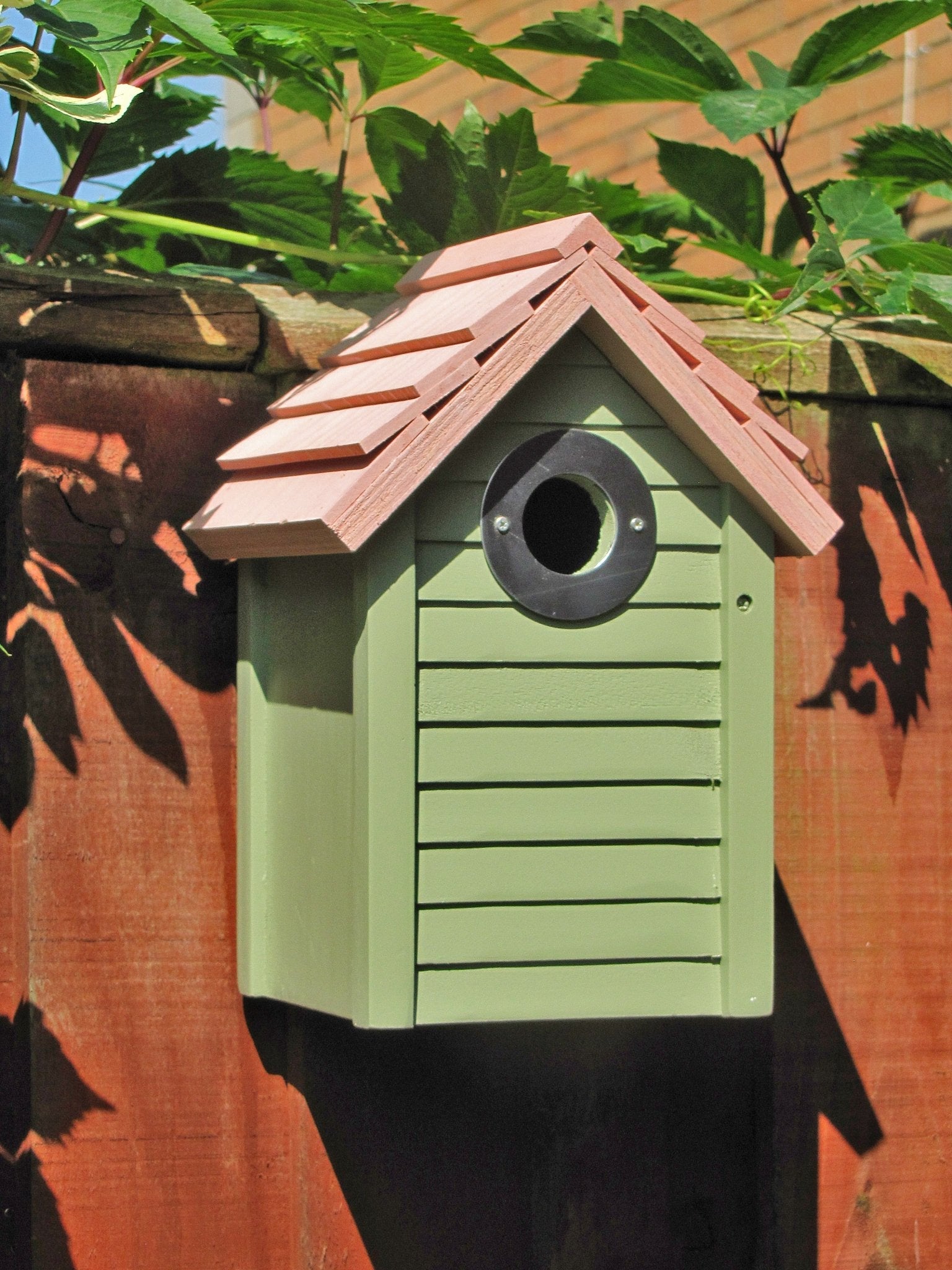 Wild Bird Care - The Irish Gardener Store