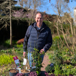 Planting Design expert, Peter Dowdall in a garden setting with plants