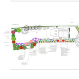 planting plan with plant details and quantities by Peter Dowdall