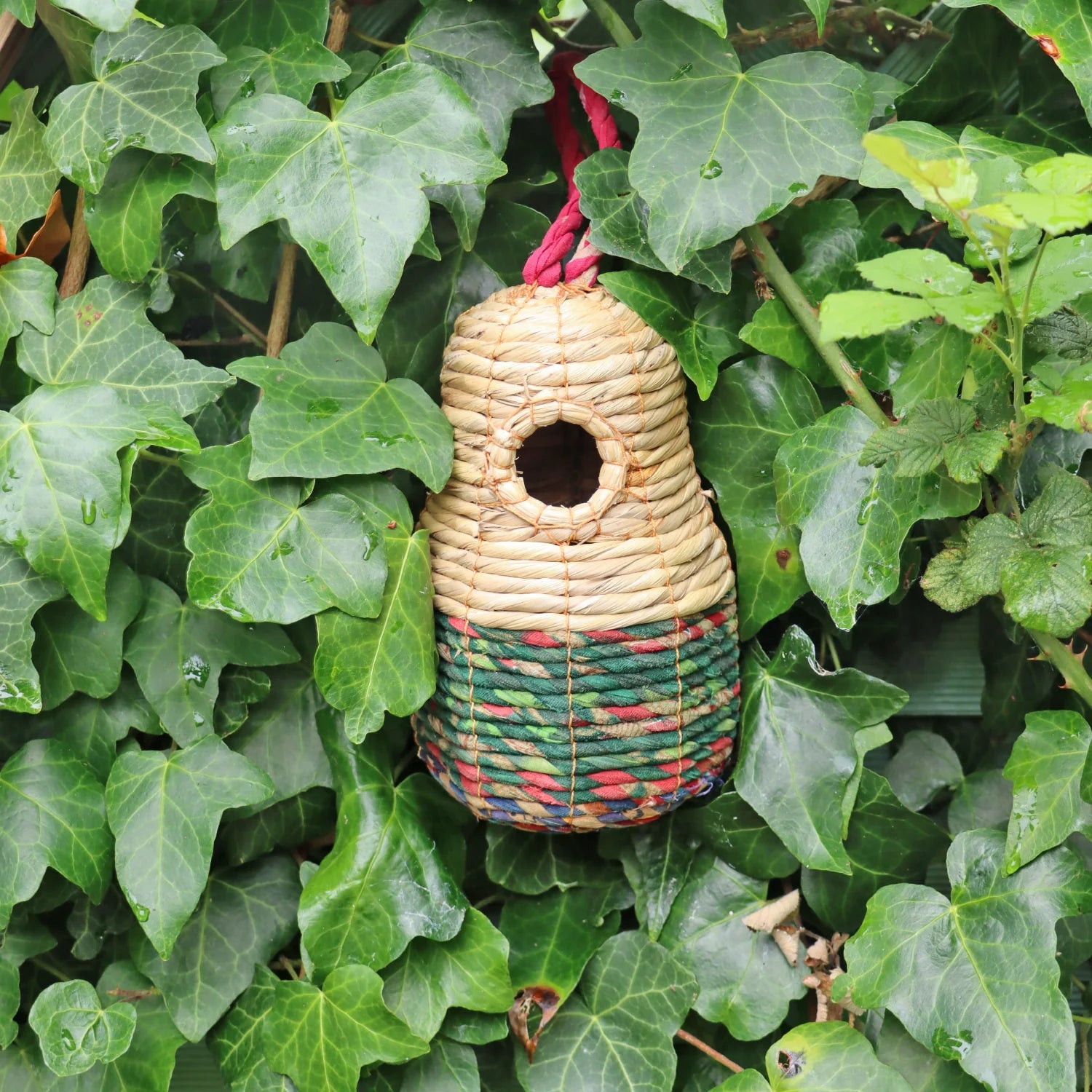 Handcrafted Sari Artisan Bird Nester made from natural woven materials, hanging amidst lush green ivy leaves. The eco-friendly birdhouse features a circular entrance, vibrant red, green, and beige tones, and a sturdy red rope for hanging. Ideal for sustainable garden decor and providing a cozy nesting space for small birds.