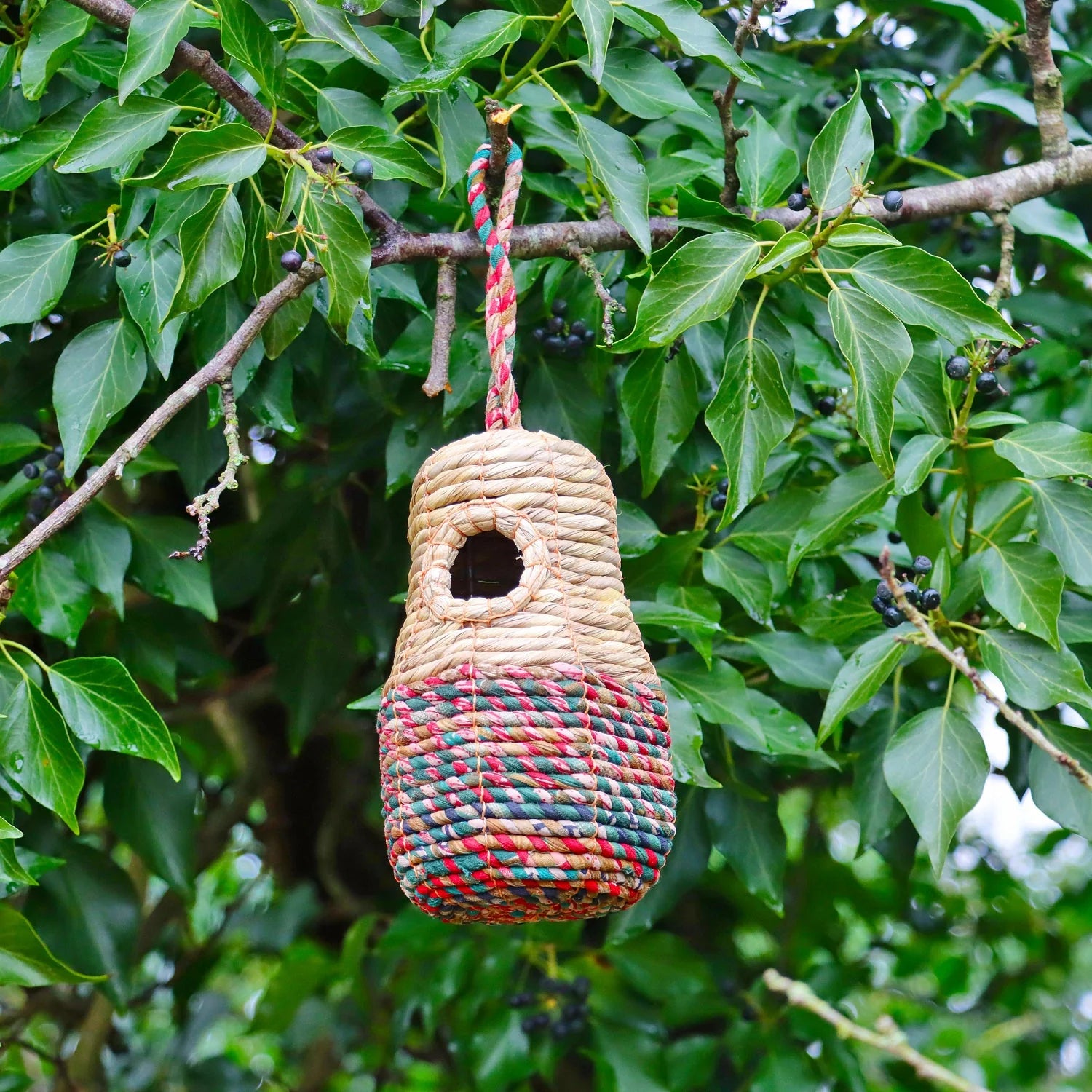 Handcrafted Sari Artisan Bird Nester hanging from a tree branch with a sturdy red rope, featuring a natural woven design in beige, green, and red tones. Surrounded by lush green foliage, this eco-friendly birdhouse offers a cozy and sustainable nesting space for small birds, perfect for garden decor.