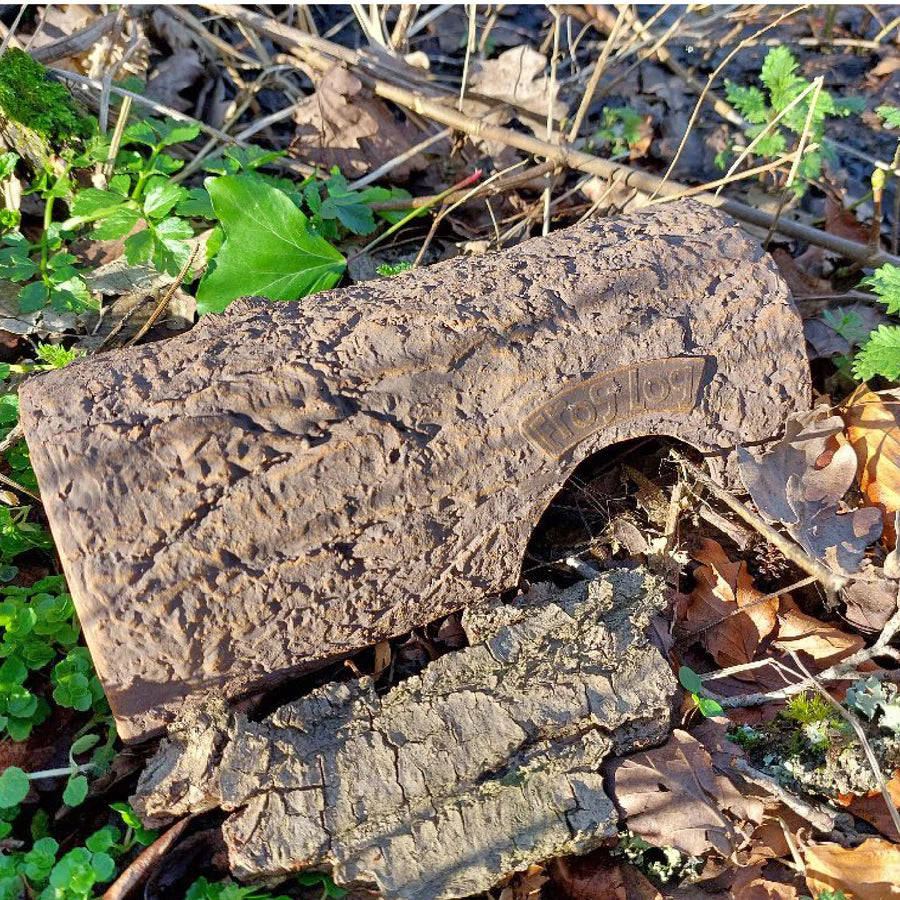 Simon King Frog Log, an eco-friendly amphibian shelter made from durable, recyclable CLAYPLAS material, designed to mimic a realistic wooden log. Positioned in a natural woodland setting with fallen leaves, moss, and green foliage, this habitat offers a safe, shaded refuge for frogs and toads, blending seamlessly into wildlife-friendly gardens