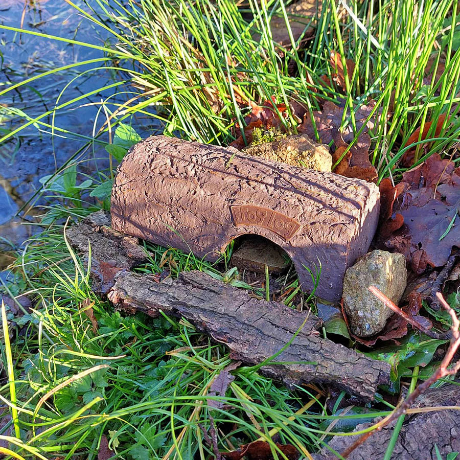 Simon King Frog Log eco-friendly amphibian shelter, made from durable, recyclable CLAYPLAS material, designed to resemble a realistic wooden log. Placed in a natural pondside setting surrounded by grass, rocks, and water, this habitat provides a safe, shaded space for frogs and toads, blending seamlessly into wildlife-friendly gardens