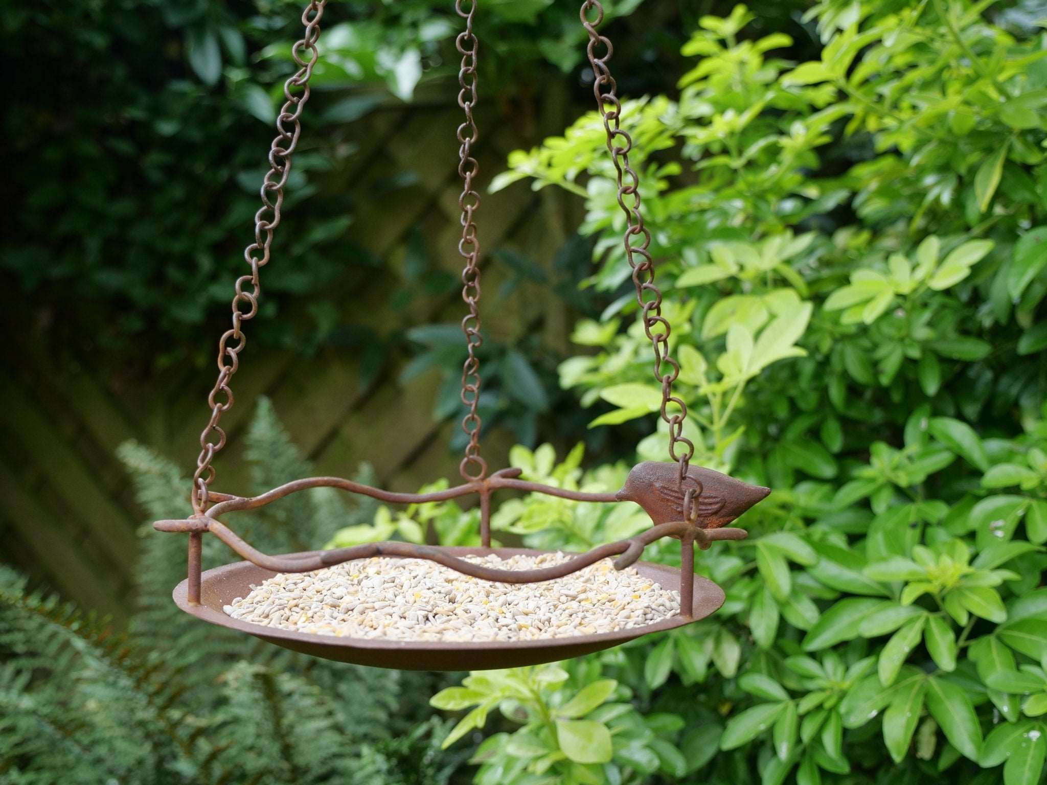 Bagpath Hanging Bird Feeder, sleek weather-resistant design, suspended from a tree branch, filled with birdseed, surrounded by vibrant songbirds, perfect for gardens and outdoor spaces"






