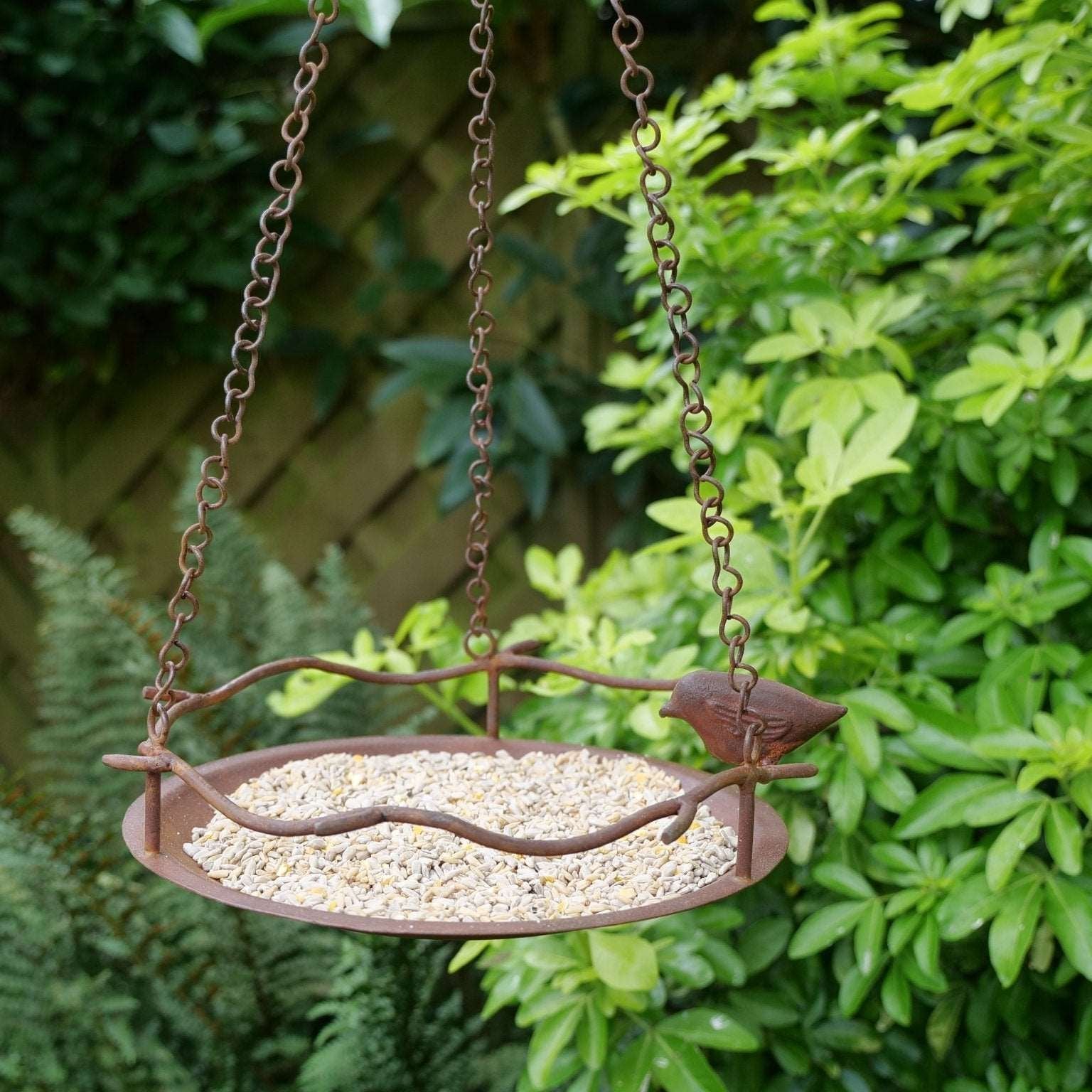 Bagpath Hanging Bird Feeder, sleek weather-resistant design, suspended from a tree branch, filled with birdseed, surrounded by vibrant songbirds, perfect for gardens and outdoor spaces"






