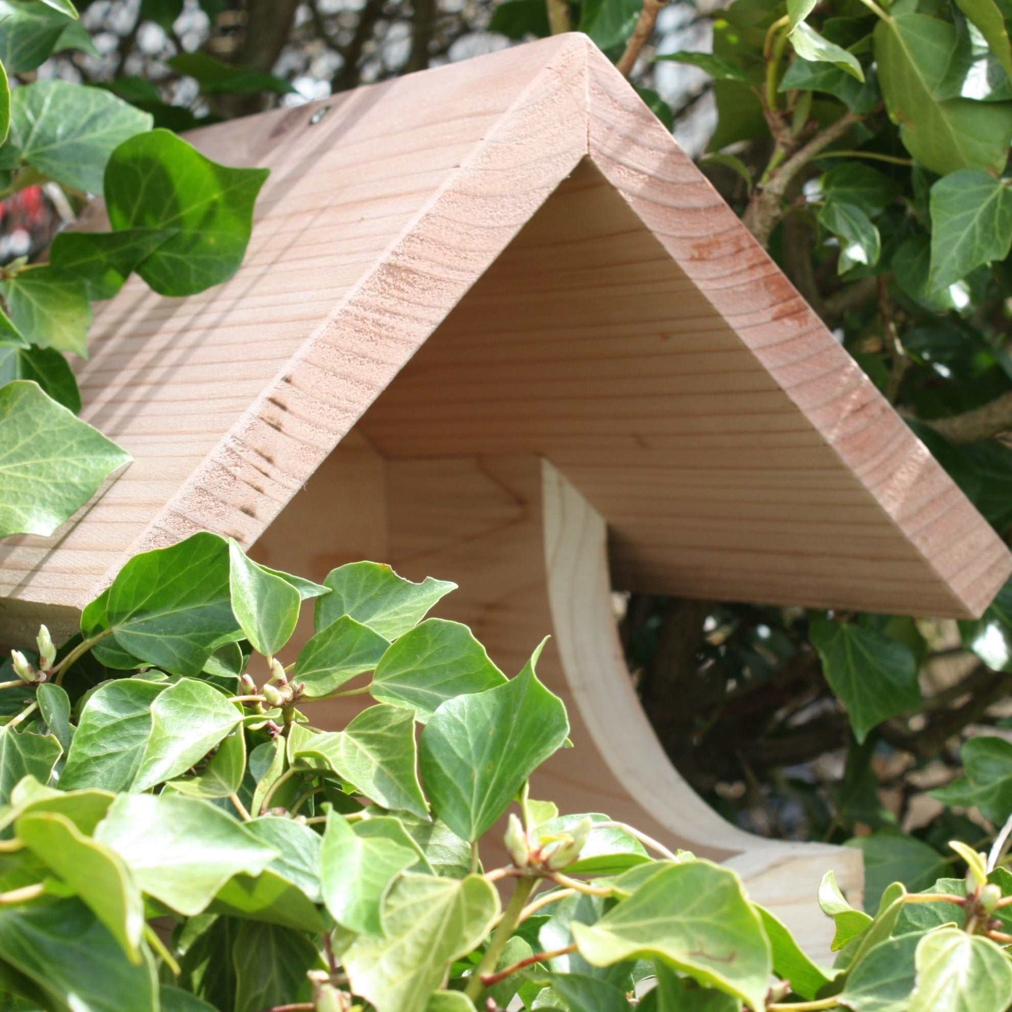 "Blackbird Nest Box, wooden open-front design, natural untreated timber, nestled among green ivy leaves, sloped roof for weather protection, eco-friendly bird nesting box, ideal for blackbirds and garden wildlife"