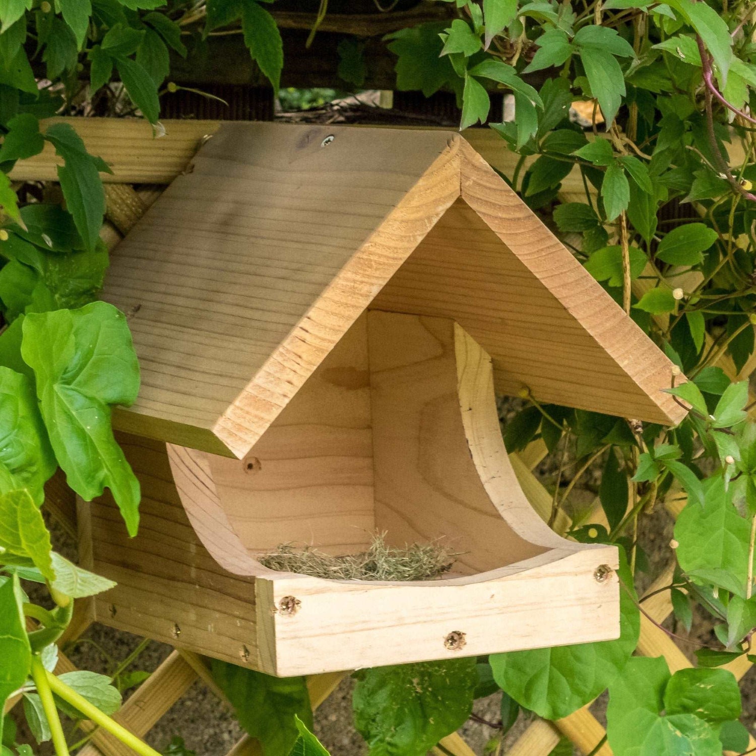 Blackbird Nest Box - The Irish Gardener Store