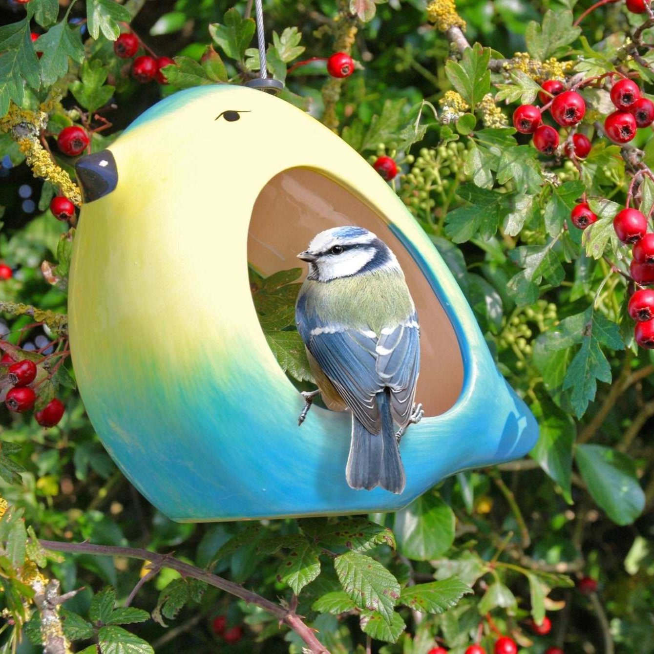 Ceramic Blue Tit Bird Feeder, vibrant blue and yellow bird-shaped feeder, blue tit perched at the entrance, surrounded by green foliage and red berries, hanging from a tree branch, eco-friendly garden accessory