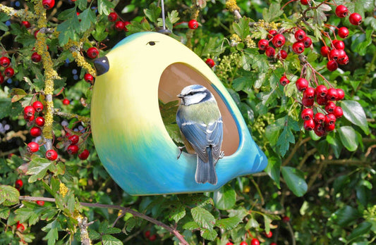 Ceramic Blue Tit Bird Feeder - The Irish Gardener Store