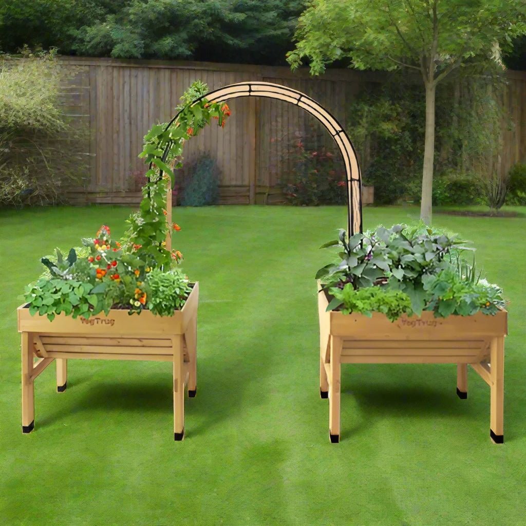 black metal garden arch with climbing plants growing over it, positioned between two VegTrug raised beds filled with a variety of vegetables and herbs, set in a lush green garden with a wooden fence and trees in the background.